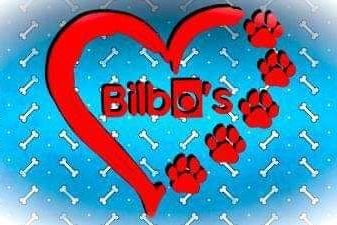 Bilbos Dogpaws Rescue