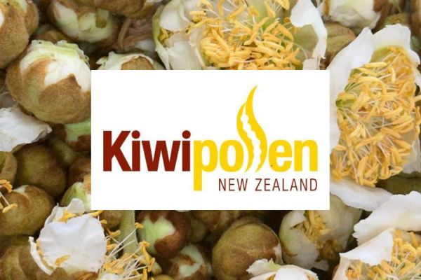 Kiwi Pollen