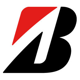 Bridgestone Te Puke logo