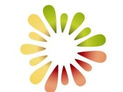 Kiwifruit Country Tours