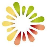 Kiwifruit Country Tours logo