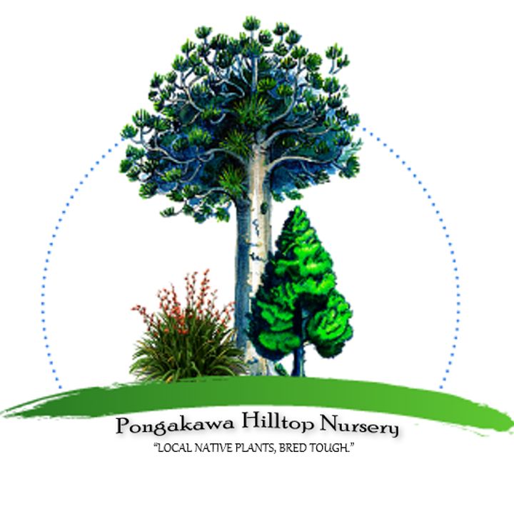 Pongakawa Hilltop Nursery logo