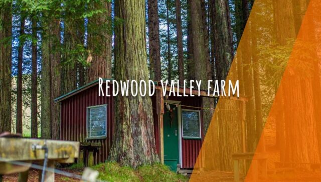 Redwood Valley Farm