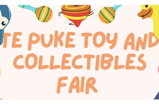 Te Puke Toy and Collectibles Fair