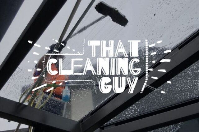 That Cleaning Guy