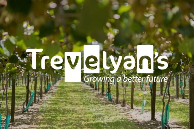 Trevelyans