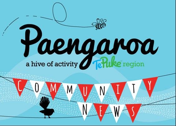 733946-1318914-67QN-paengaroa-a-hive-of-activity-beehives-pic 733946 1318914 67QN paengaroa a hive of activity beehives pic
